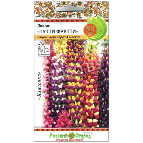 Люпин Тутти Фрутти