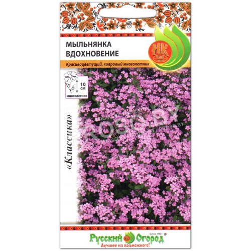 Мыльнянка Вдохновение