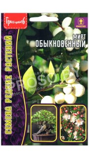 Мирт Обыкновенный
