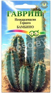 Неокарденасия герцога Бамбино