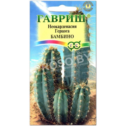 Неокарденасия герцога Бамбино