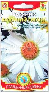 Нивяник Весенний гигант