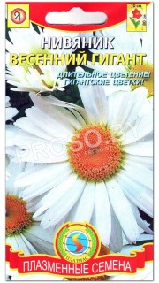 Нивяник Весенний гигант