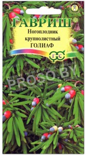 Ногоплодник крупнолистный Голиаф