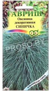 Овсяница декоративная Синичка