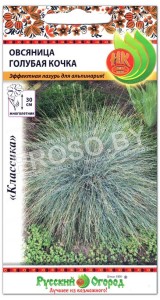 Овсяница Голубая кочка