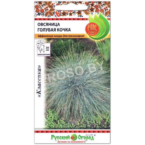 Овсяница Голубая кочка