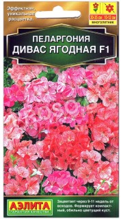 Пеларгония Дивас ягодная F1