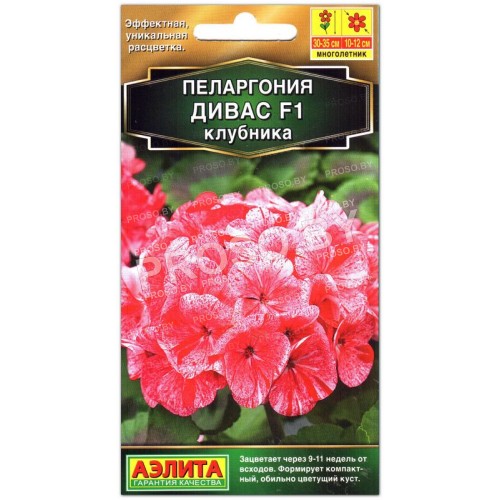 Пеларгония Дивас клубника F1