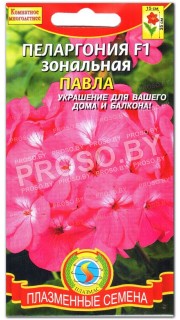 Пеларгония Павла F1