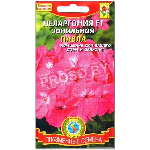 Пеларгония Павла F1