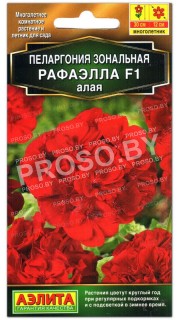 Пеларгония Рафаэлла F1 алая