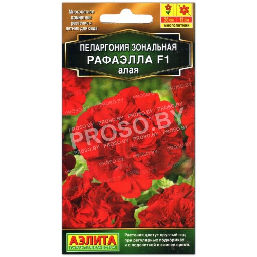 Пеларгония Рафаэлла F1 алая