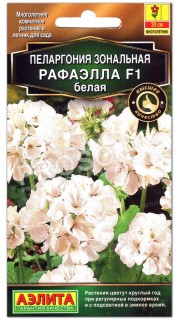 Пеларгония Рафаэлла F1 белая