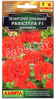 Пеларгония Рафаэлла F1 оранжевая