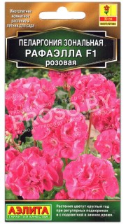 Пеларгония Рафаэлла F1 розовая