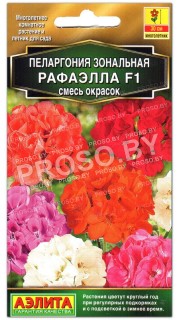Пеларгония Рафаэлла F1 смесь окрасок