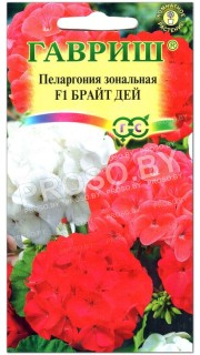 Пеларгония зональная Брайт дей F1