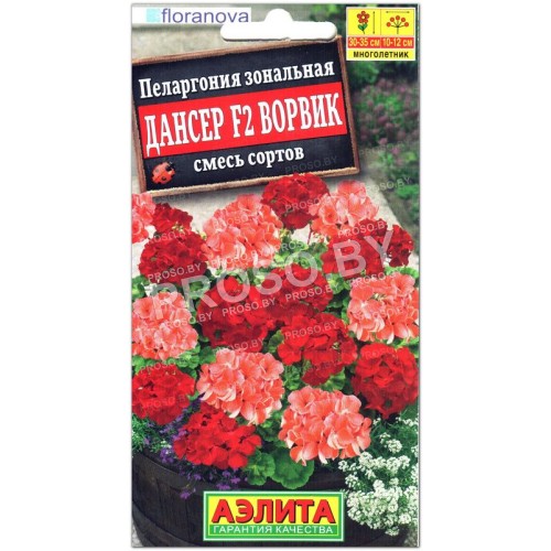 Пеларгония зональная Дансер ворвик F2