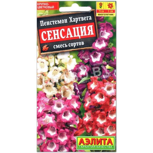 Пенстемон Хартвега Сенсация, смесь