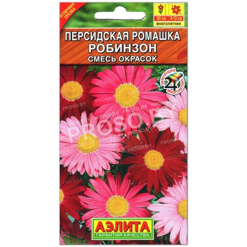 Персидская ромашка Робинзон, смесь-1