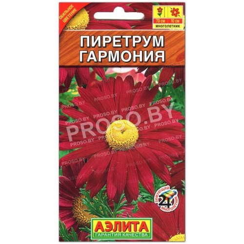 Пиретрум Гармония