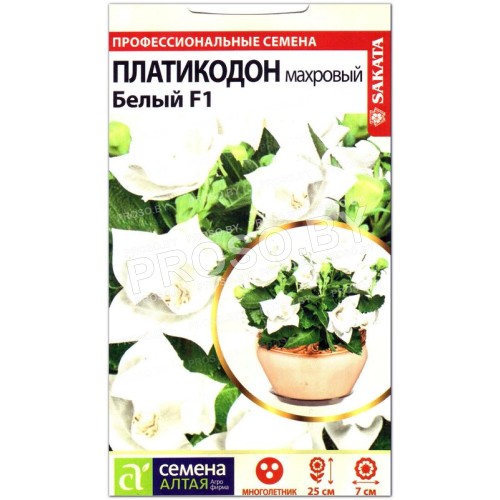 Платикодон махровый Белый F1