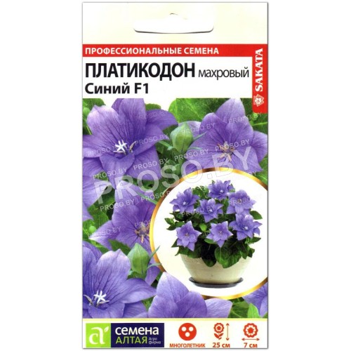 Платикодон махровый Синий F1