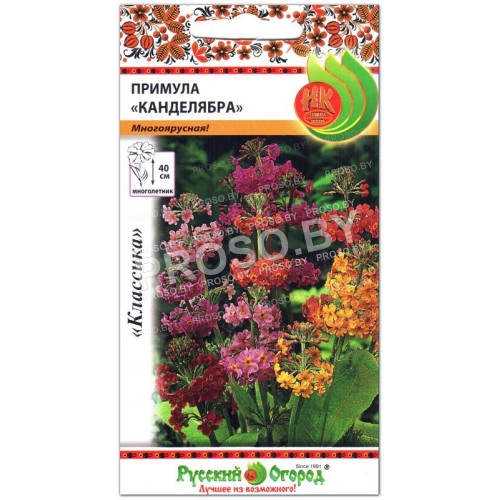 Примула Канделябра