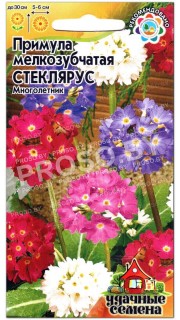 Примула мелкозубчатая Стеклярус