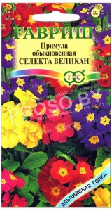 Примула обыкновенная Селекта великан