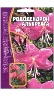 Рододендрон Альбрехта