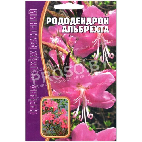 Рододендрон Альбрехта