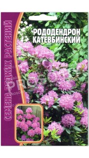 Рододендрон Катевбинский