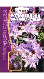 Рододендрон Тимьянолистный