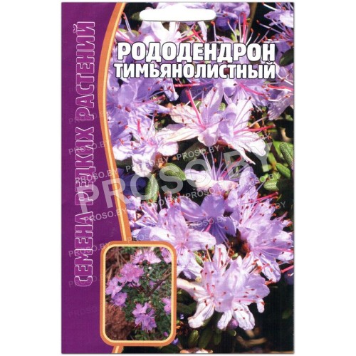 Рододендрон Тимьянолистный