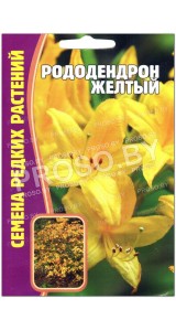 Рододендрон Желтый