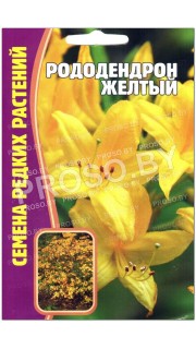 Рододендрон Желтый