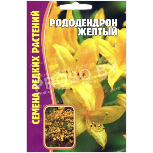 Рододендрон Желтый