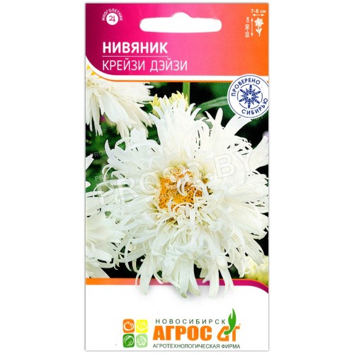 Ромашка (нивяник) Крейзи Дейзи-2