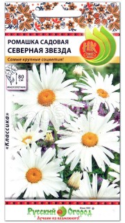 Ромашка Северная звезда