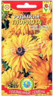 Рудбекия Глориоза