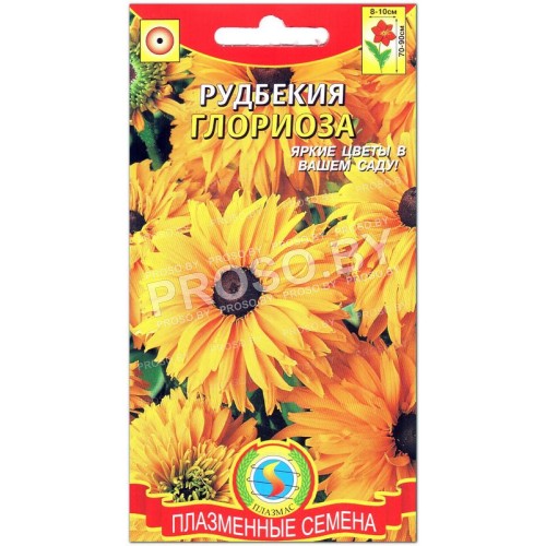 Рудбекия Глориоза
