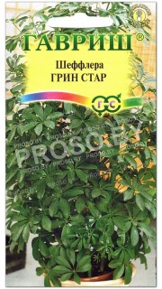 Шеффлера Грин стар