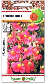 Солнцецвет