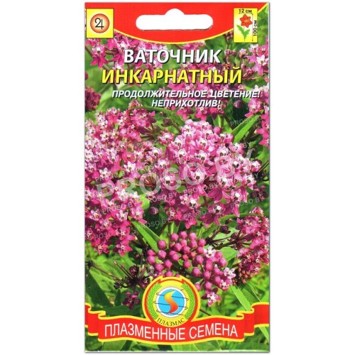 Ваточник Инкарнатный