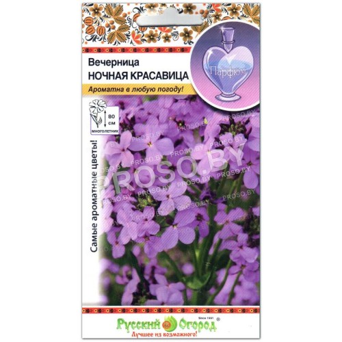 Вечерница Ночная красавица