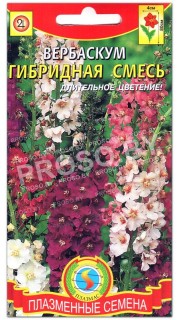 Вербаскум Гибридная смесь