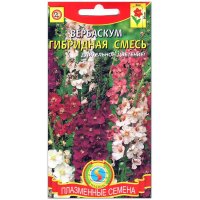 Вербаскум Гибридная смесь