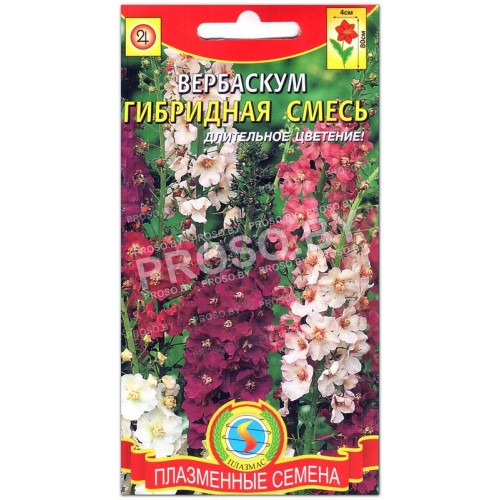 Вербаскум Гибридная смесь